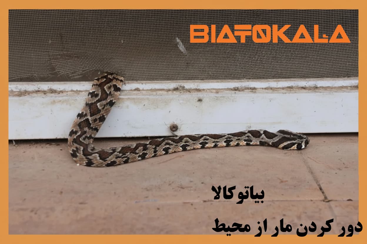 جلوگیری از ورود مار به خانه